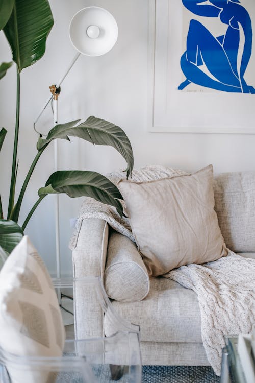sofa